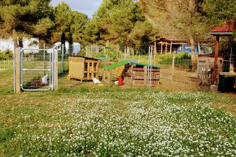 Landejendom i Ginestar, Tarragona, Ginestar - € 185.000 | Ref: CC824 - foto 27